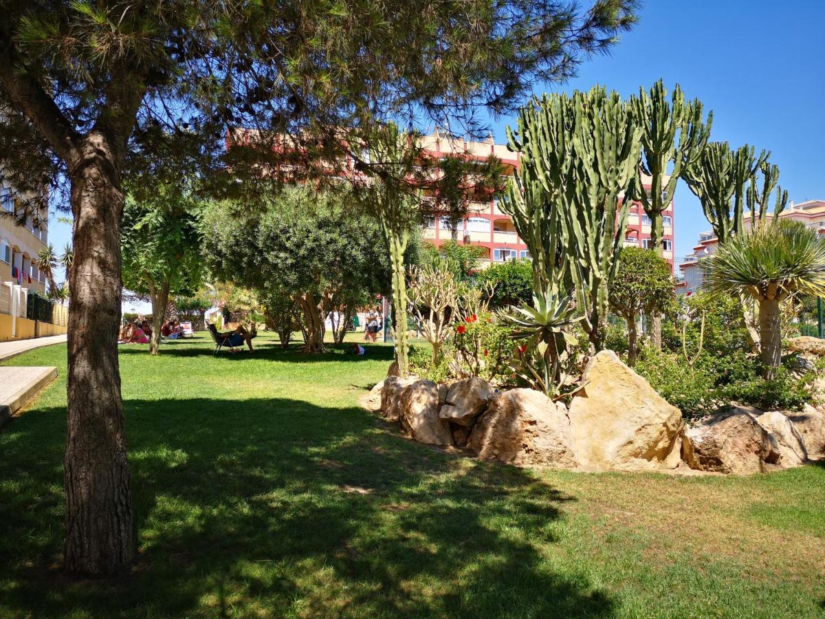 Studio With Terrace And Pool Torrevieja Exterior foto